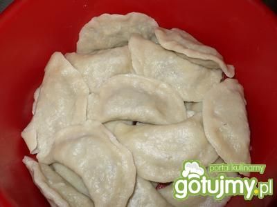 Pierogi z grzybami, kapusta i mięsem Pierogi z grzybami, kapusta i mięsem