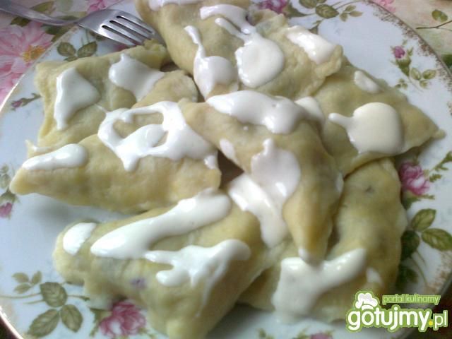 Pierogi z jagodami i śmietaną Pierogi z jagodami i śmietaną