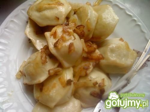 Pierogi z kapustą - odsmażane  Pierogi z kapustą - odsmażane