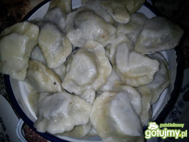 Pierogi z mięsem Pierogi z mięsem