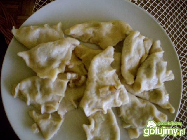 Pierogi z mięsem Pierogi z mięsem