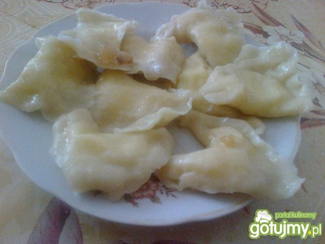 Pierogi z serem  4 Pierogi z serem  4