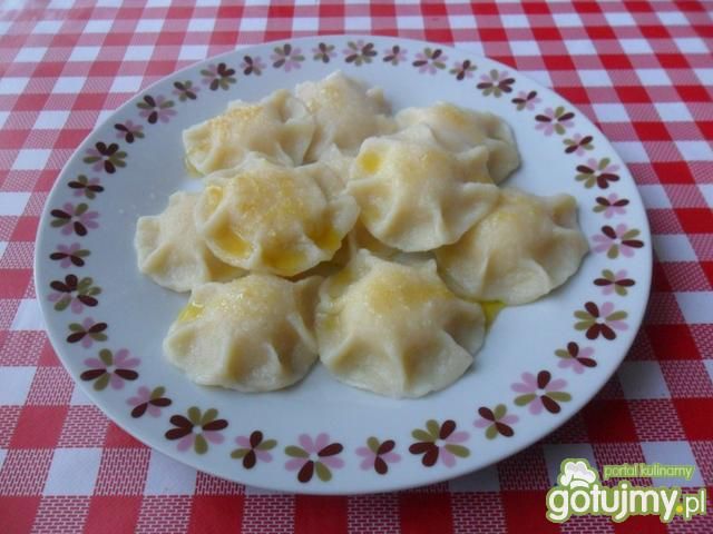 Pierogi z serem  Pierogi z serem