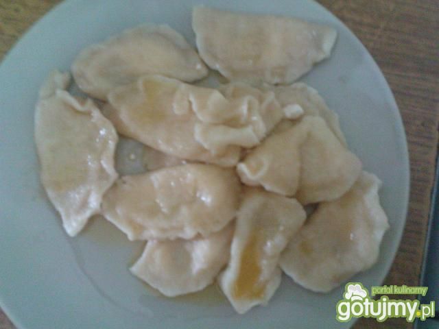 pierogi z serem pierogi z serem