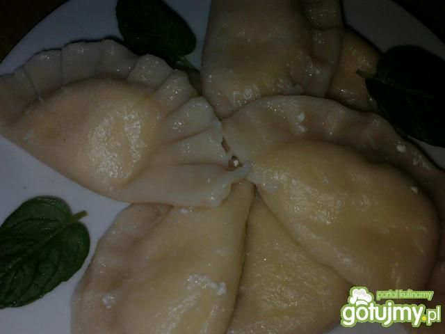 Pierogi z serkiem homogenizowanym Pierogi z serkiem homogenizowanym