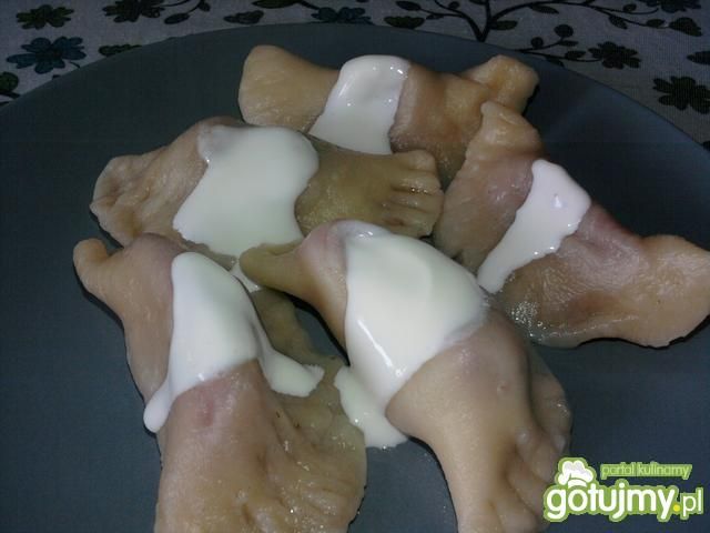 Pierogi z truskawkami Eweliny