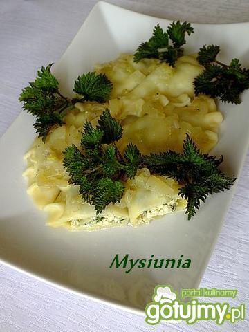 Pierogi z twarogiem i pokrzywami Pierogi z twarogiem i pokrzywami
