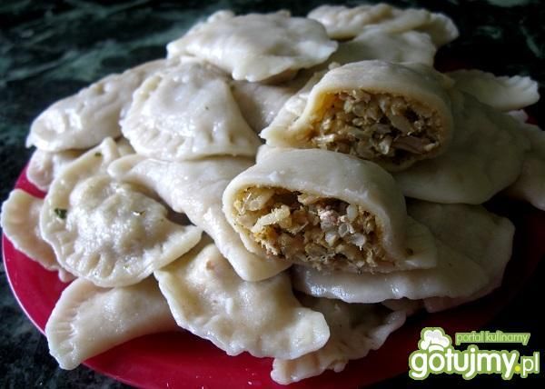Pierożki z kurczakiem i ryżem Pierożki z kurczakiem i ryżem