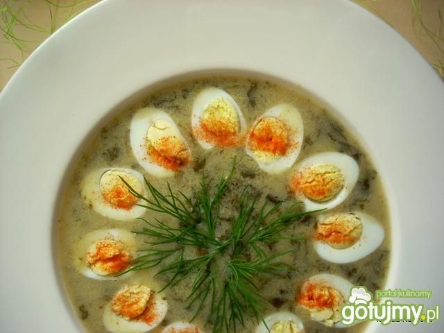 Pierwsza szczawiówka  Pierwsza szczawiówka