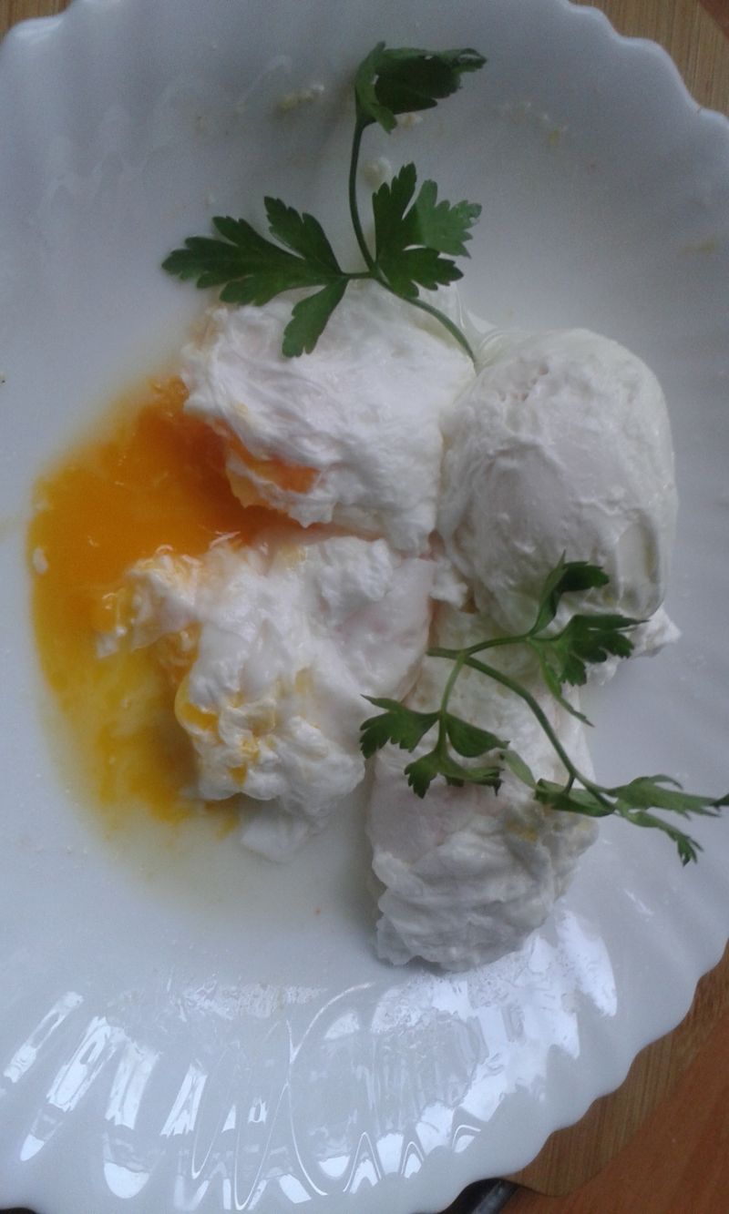 Pierwsze moje jajka w koszulkach