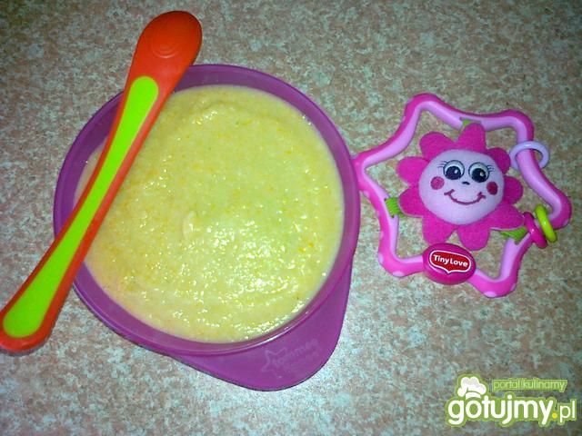 Pierwszy krem z kurczaka dla niemowlaka