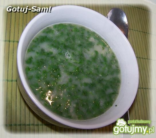 Pietruszajka  Pietruszajka