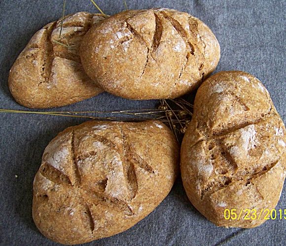 Pikantne bułeczki orkiszowe z czarnuszką Pikantne bułeczki orkiszowe z czarnuszką