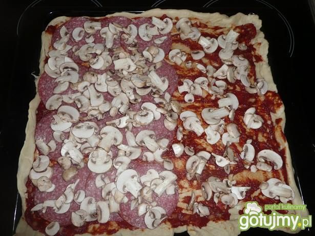 pizza 2 w 1 