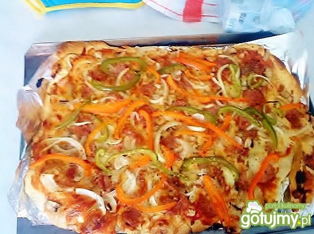 pizza dla wegetarian pizza dla wegetarian