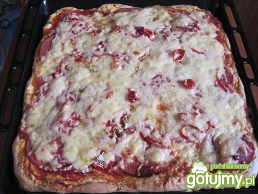 Pizza pikantna z salami i serem  Pizza pikantna z salami i serem