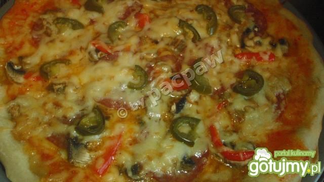 Pizza podwójnie pikantna Pizza podwójnie pikantna