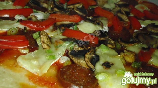 Pizza węgierska Pizza węgierska