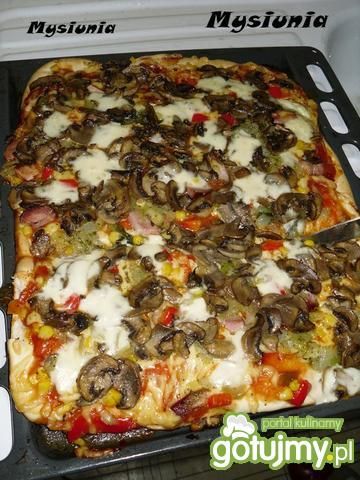 Pizza wieloskładnikowa Pizza wieloskładnikowa