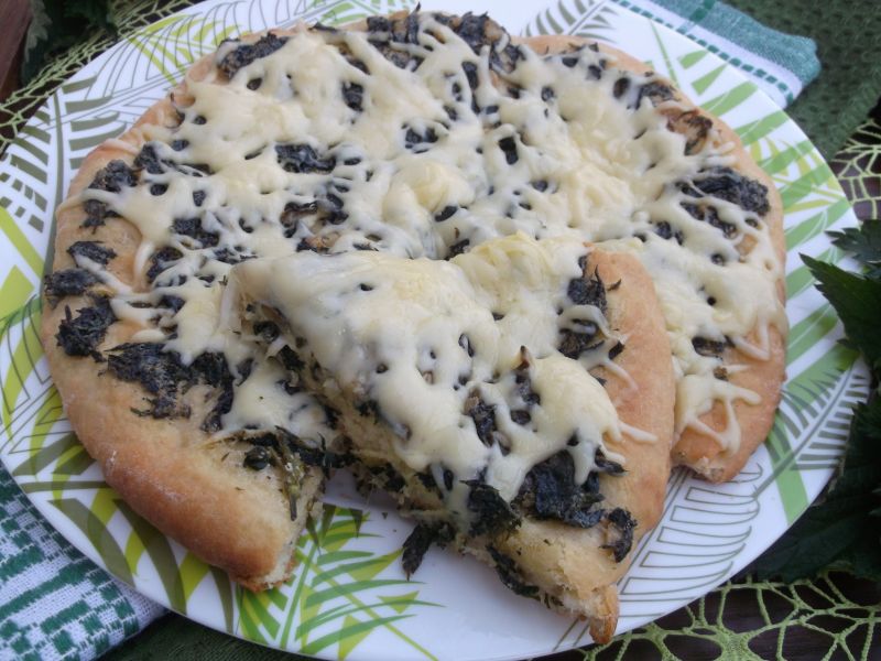 Pizza z pokrzywą Pizza z pokrzywą