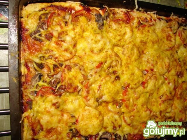 Pizza z rybą i mozarellą Pizza z rybą i mozarellą