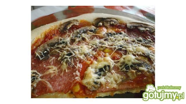 Pizza z salami i mozzarellą  Pizza z salami i mozzarellą
