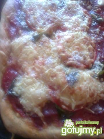 Pizza z salami i serem greckim 