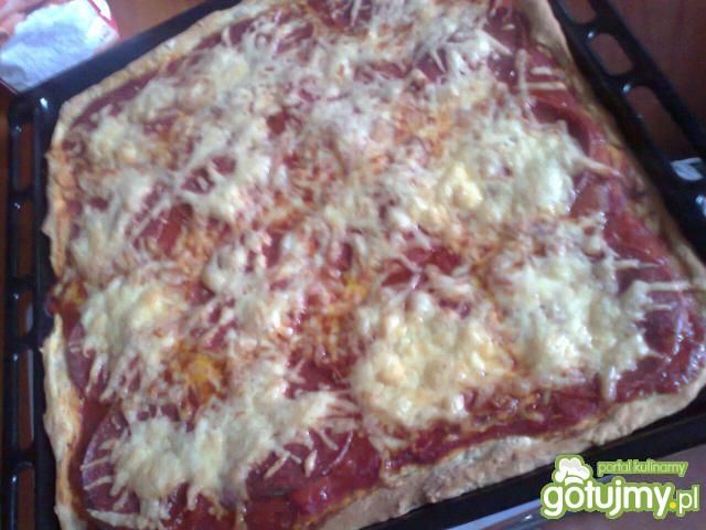Pizza z serem i salami Pizza z serem i salami