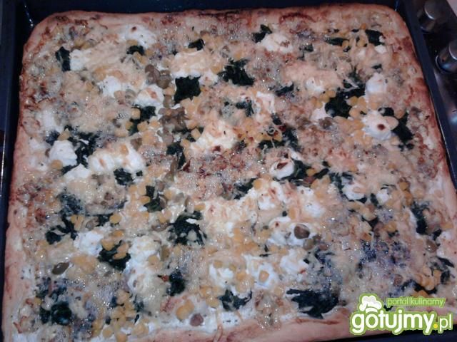 Pizza z serem lazur Pizza z serem lazur