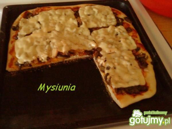 pizza z serem w plasterkach