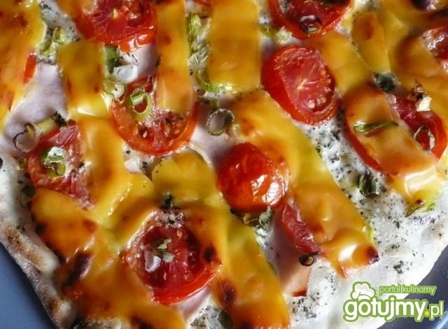 Pizza z sosem śmietanowym i ziołami Pizza z sosem śmietanowym i ziołami