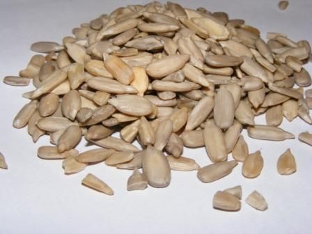 Placek ze słonecznikiem Placek ze słonecznikiem