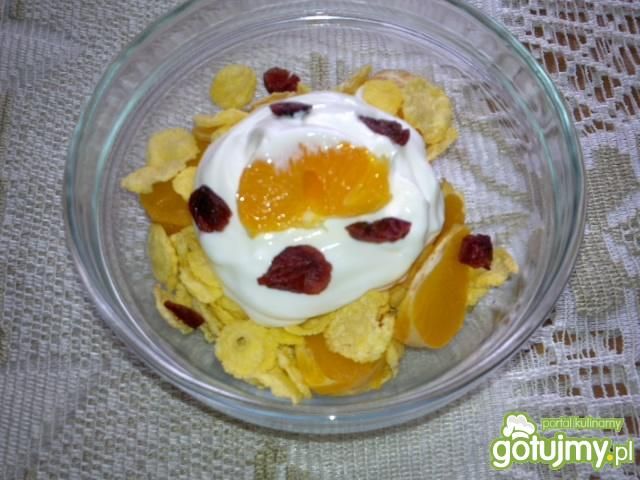 Płatki na śniadanie Płatki na śniadanie