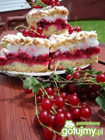 Pleśniak z czerwonymi porzeczkami Pleśniak z czerwonymi porzeczkami