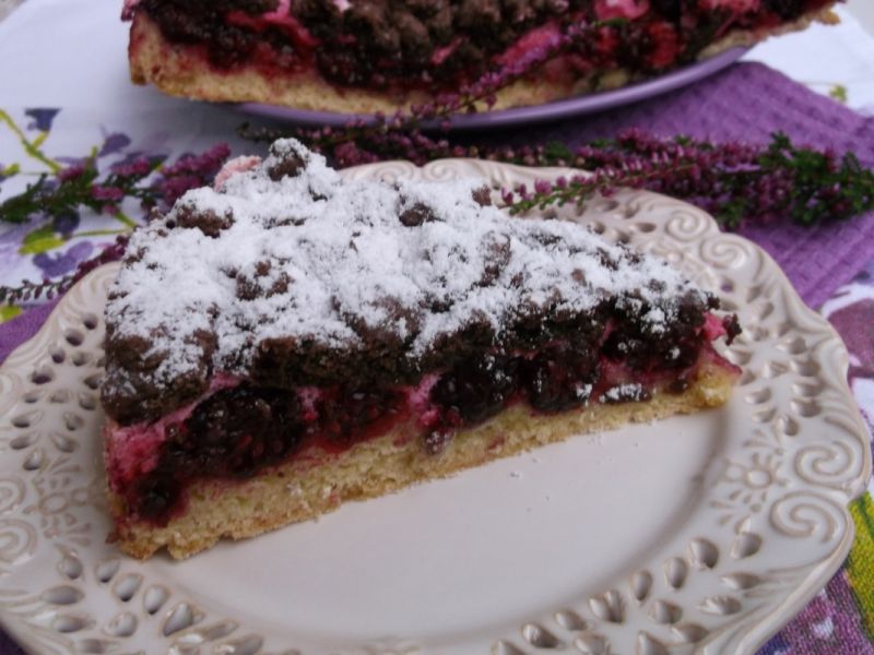 Pleśniak z jeżynami