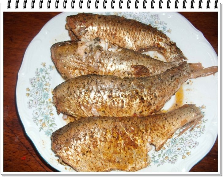 Płotki Eli z pomysłem na