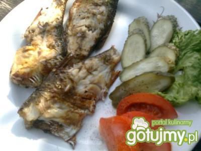 płotki grillowane  płotki grillowane