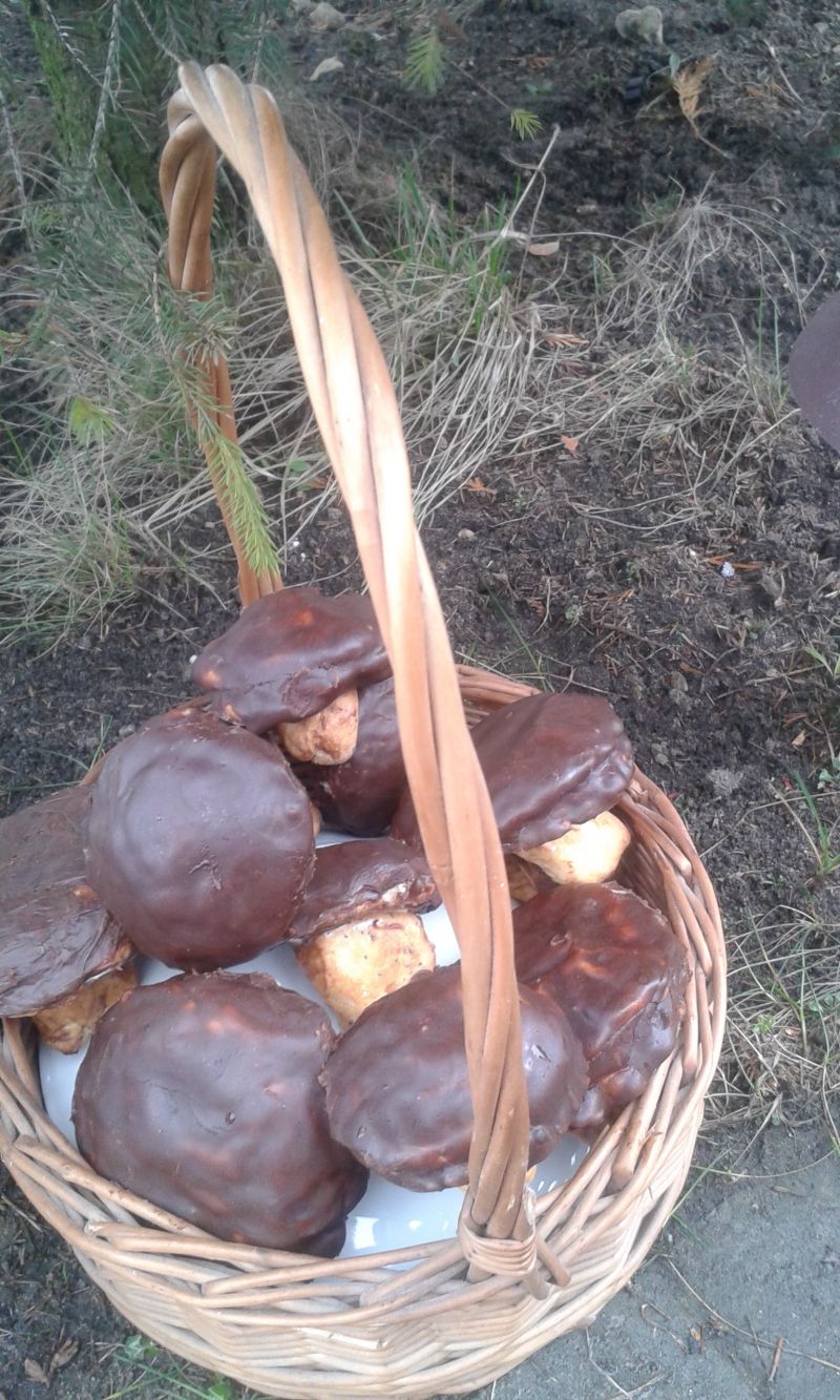 Podgrzybki ciasteczkowe