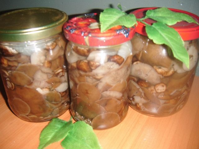 Podgrzybki marynowane Podgrzybki marynowane