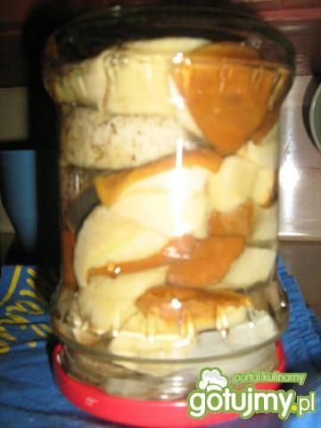 Podgrzybki marynowane