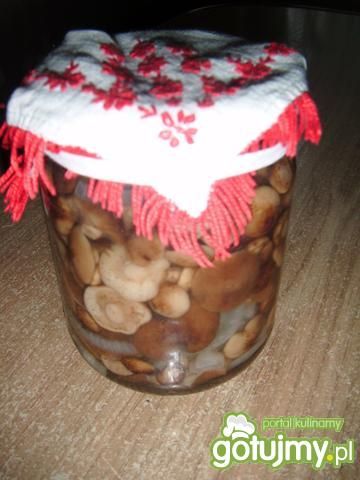 Podgrzybki marynowane z marchewką Podgrzybki marynowane z marchewką