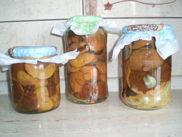 Podgrzybki w zalewie octowej