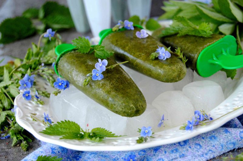 Pokrzywowy sorbet Pokrzywowy sorbet