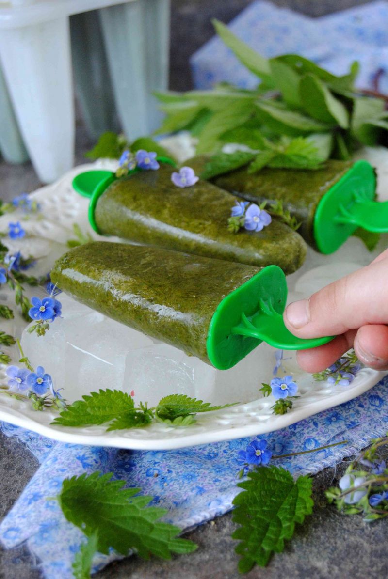 Pokrzywowy sorbet Pokrzywowy sorbet