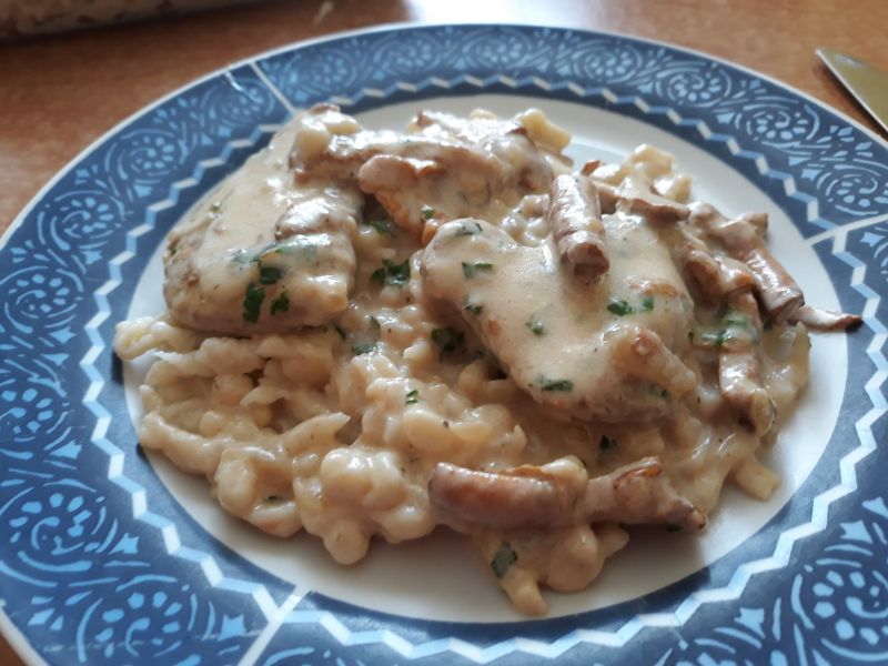 Polędwiczki wieprzowe w sosie kurkowym