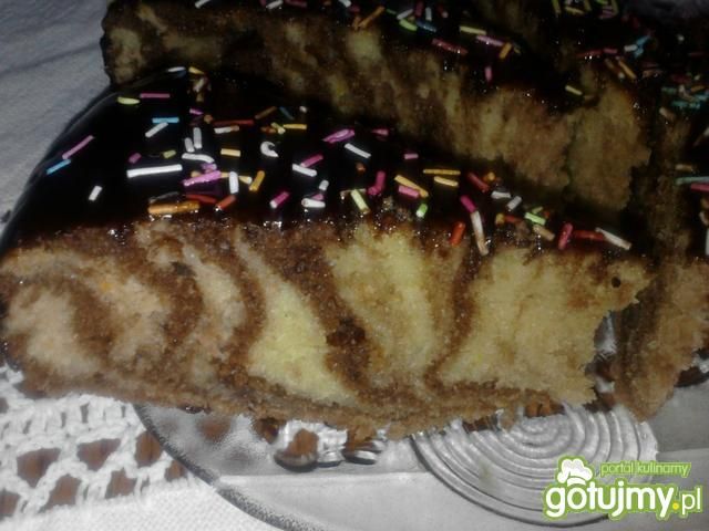 Pomarańczowa zebra Pomarańczowa zebra