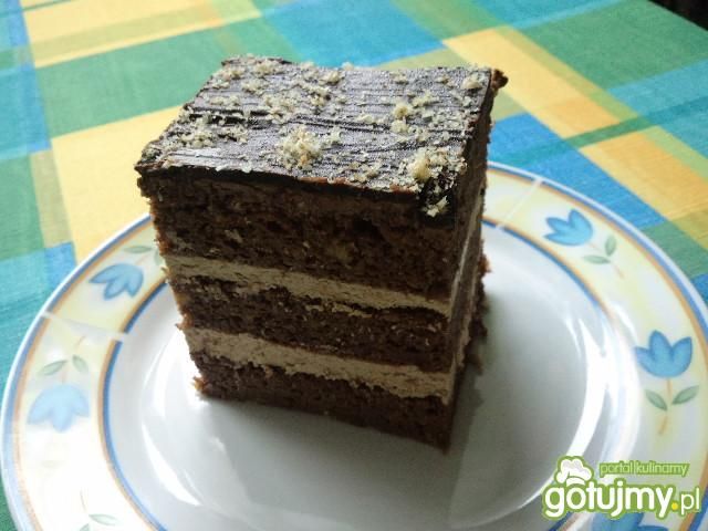 Pomarańczowiec Pomarańczowiec