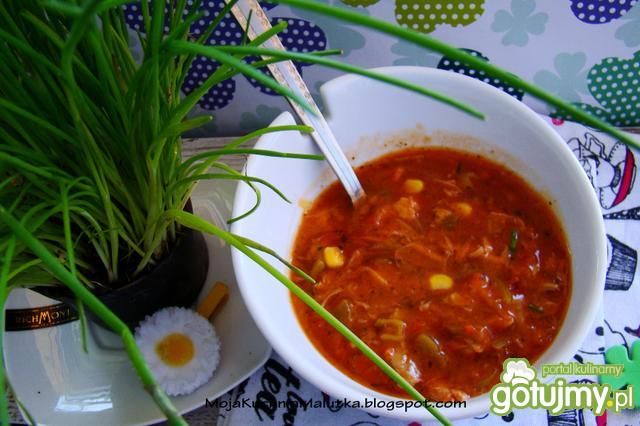 Pomidorowa potrawka obiadowa