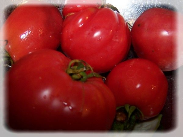 Pomidorówka z papryką i lanymi kluseczkami