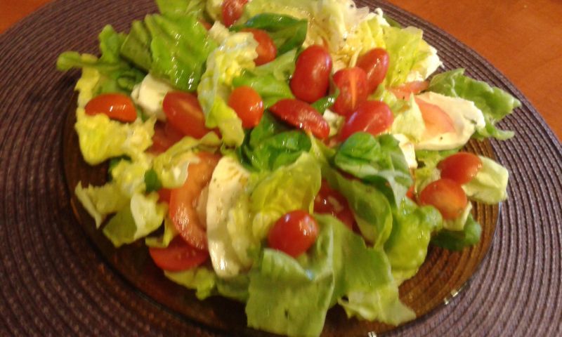 Pomidory  mozzarellą , listkami sałaty i bazyli Pomidory  mozzarellą , listkami sałaty i bazyli